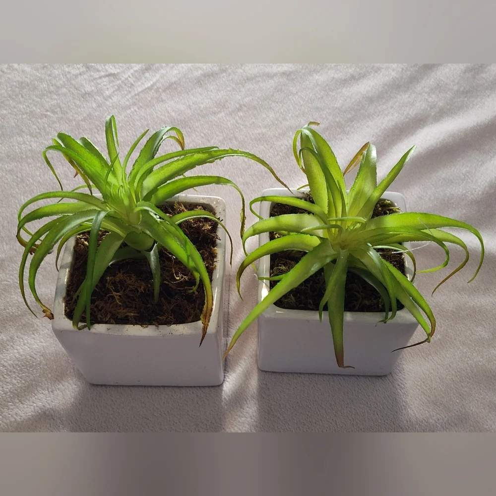 2 Green Faux Succulent in White Planter Set